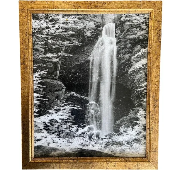 Painted Picture 🖼 - Picture 5 of 9